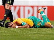 Bóng đá anh, ngoại hạng anh, lịch thi đấu euro 2012, Nhật ký‎ World Cup: Đại dịch "Virus FIFA"